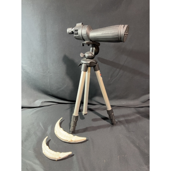 Bushnell Sentry Spotting Scope with Tripod