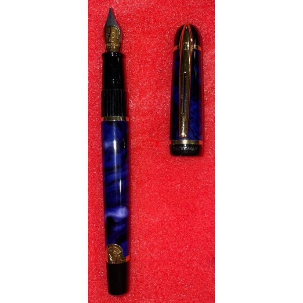 Waterman Blue Fountain Pen 