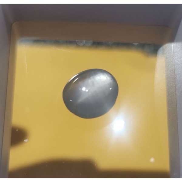 10.3 Carat Star Sapphire- Authentic with Certificate ( Estimated Value $3800)