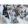 Image 1 : Outdoor Garden Statues Incudes: Angels, Dogs, Frogs and More!