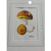 Image 3 : 2 Framed Food Drawings ( Ice Cream and Mushrooms )