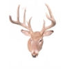 Image 5 : Taxidermy White-Tailed Deer Mount
