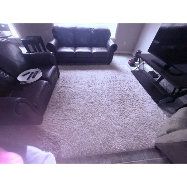 Rectangular Shag Area Rug in Neutral Toned Fabric. Furniture not included!