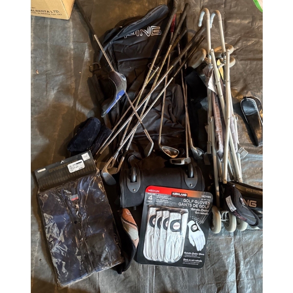 Golfers Collection Incl. New Gloves, Clubs, Carrying Case, and More 