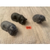 Image 2 : Wolf Original Soapstone Carvings Bears (3)