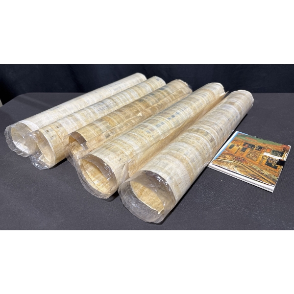 Egyptian Papyrus Art Prints and Postcard Collection