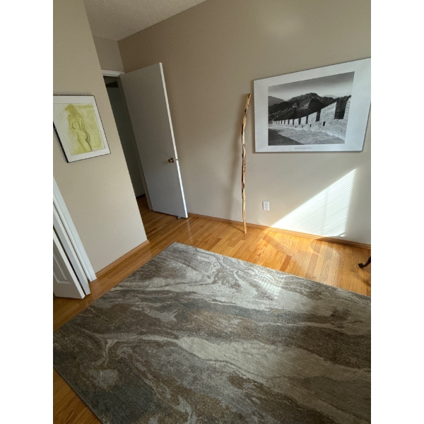 4 pcs Home Collection - Polyester Rug (1.5Mx2.1M), Great Wall Print, C. Lumb Print, Walking Stick