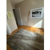 Image 1 : 4 pcs Home Collection - Polyester Rug (1.5Mx2.1M), Great Wall Print, C. Lumb Print, Walking Stick