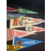 Image 3 : Pennants Including: Disney MGM, Redwoods, Jasper and More!