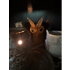 Image 7 : Decorative Owl Collection #3 -  Owl Lamp, Lovely Owl Trinket Box, Small Solid Metal Owl 