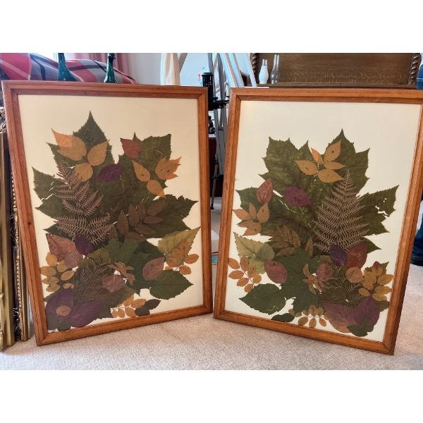 two original pieces of pressed botanical art made with a number of different types of leaves 30x22”