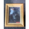 Image 1 : Autographed Mike Weir Golf Photo in Gold-Tone Frame