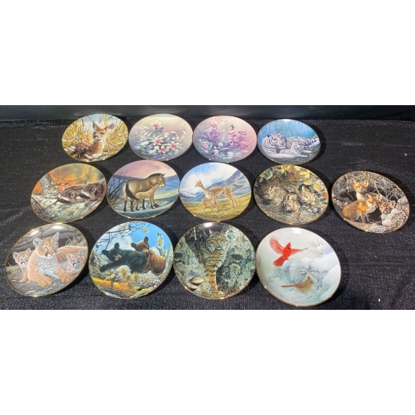 Decorative Collector Plates