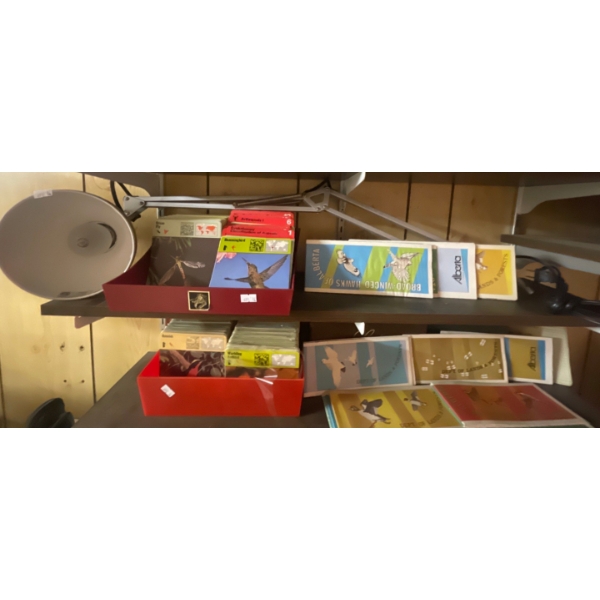 Bird Watchers Species Identification Super Station