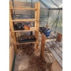 Image 5 : Greenhouse 74 W, 48 D, 86 T, Includes Shelving Shown Inside 