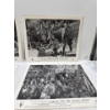 Image 2 : Collection of Stills from Tarzan and the Jungle Queen
