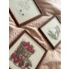 Image 3 : Needlepoint Art Collection (5) - 8x7