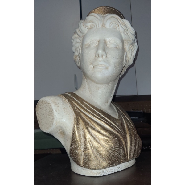 Plaster Bust of Woman 19 T, 12 L, 7 W