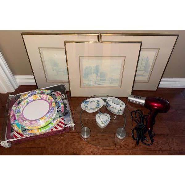 Misc. Goods Collection - Art Bathroom Decor Hair Dryer Single Use Plates & More