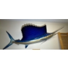 Image 1 : Marlin Taxidermy 90L
