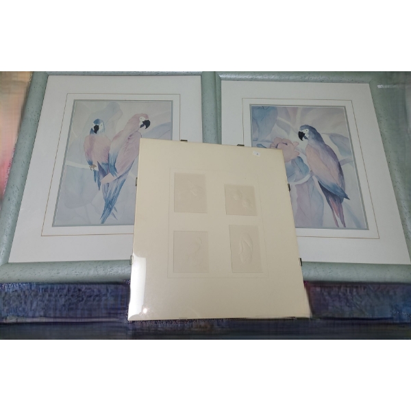 Pair of Parrot Prints 23 X 27 and Matted Clip Art of Fish and Birds 16.5 X 18