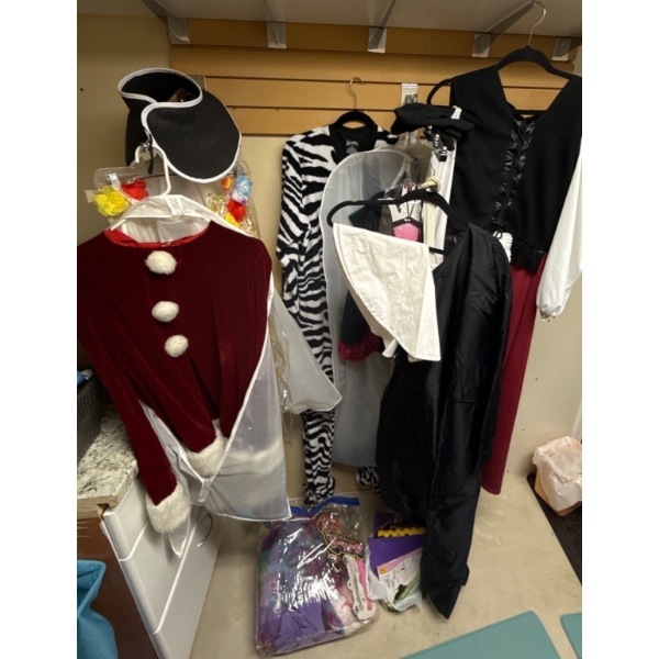 Costume Collection - Nun, Hula Girl, Goth, Cow Suit (L), Accessories and More 