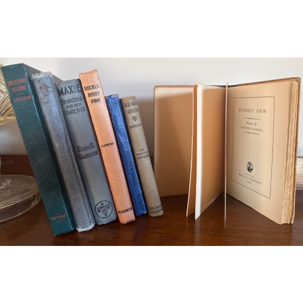 Bundle Of Antique Stories- Treasure Island, Maxie, Huckleberry Finn & More