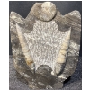 Image 2 : Orthoceras and Ammonite Fossil Specimen Statues