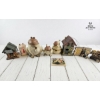 Image 4 : Whimsical Tea Vintage Frog-Themed Collectibles, Ceramic Jars, Trinket Boxes, And Decorative Houses. 