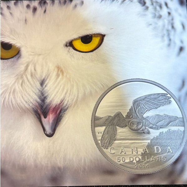 2014 $50 Polar Bear Fine Silver Coin 15.87 Grams