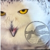 Image 1 : 2014 $50 Polar Bear Fine Silver Coin 15.87 Grams