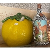 Image 1 : Lemon Soup Taurine