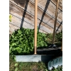 Image 2 : lot of snow shovels 