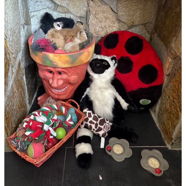 Large Goofy Planter (12.5In Tall) w/ Assorted Dog Toys 