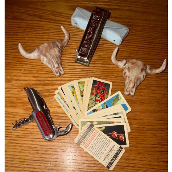 Hohner Diatonic Harmonica w/ Case Pottery Long Head Steer Skulls Vintage Tea Cards & more