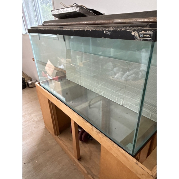  three aquariums large one has a base must bring help to move