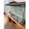 Image 1 :  three aquariums large one has a base must bring help to move