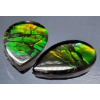 Image 3 :  Ammolite Pair (2.7 ct total, 9×7×2.2 mm)
