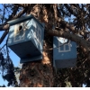 Image 4 : Delux Feathered Friend Amenities - Bird Bath Bird Bar Nut Bar Bird House & More