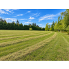 Image 4 : COWICHAN VALLEY, BC

6821 Lakes Rd, Cowichan Valley, British Columbia V9L 5W4

An exceptional opport
