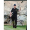 Image 2 : Autographed Photo of Mike Weir 14.5 X 16.5, Measured w/ Frame