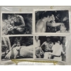 Image 2 : Collection of Tarzan Movie Stills