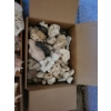 Image 2 : Assorted Sea Shells Fossilized Rocks & More