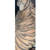 Image 3 : Resin Tiger in Restful Pose 28 L, 16 W, 12 T
