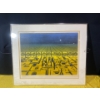 Image 2 : Robert Game "The Maze" Framed Art Piece ( Measurements in Pictures)