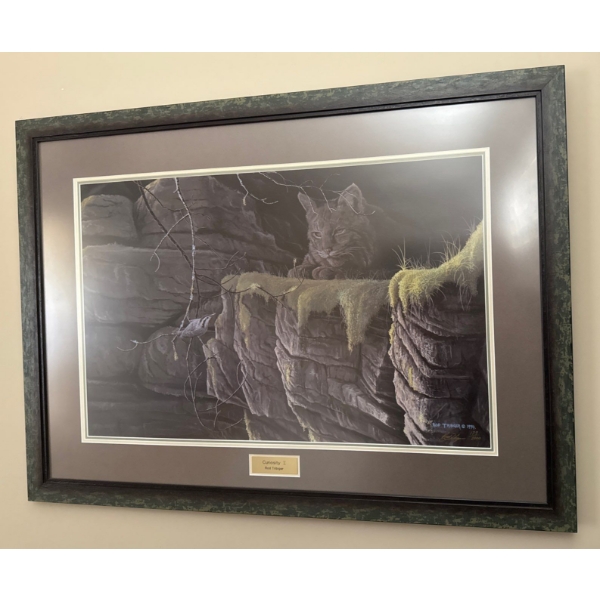 Rod Tribiger - Curiosity II Limited Edition Art Print Signed & Numbered 85/2000