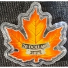 Image 2 : 2016 $20 Colourful Maple Leaf Fine Silver Coin 31.5 Grams