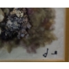 Image 5 : Untitled Dried and Dyed Wild Flowers, Artist: Mary Koonookoochook, Framed Under Glass 12 X 15 