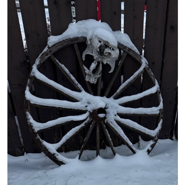 Garden Antique Wagon Wheel