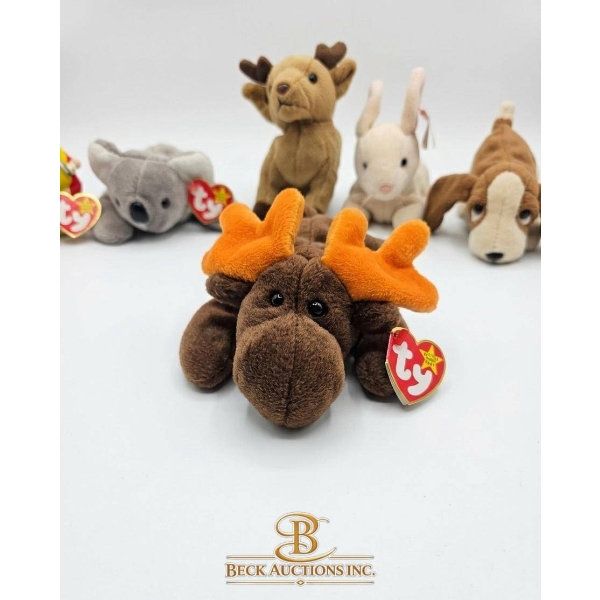 7 Ty Beanie Babies with Tags in Excellent Condition